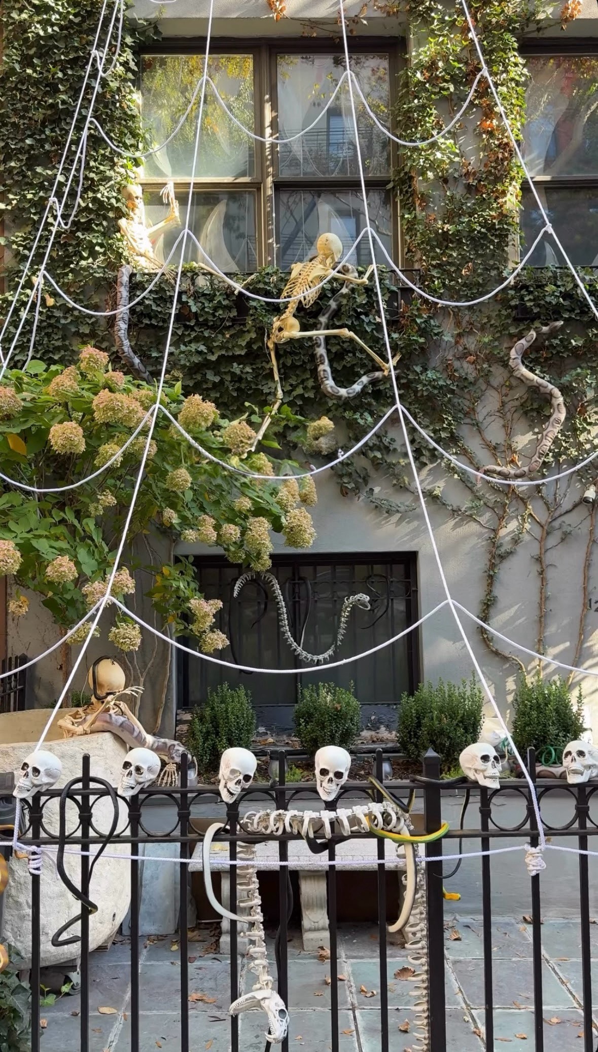 Skeleton climbing an ivy-covered wall